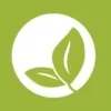 Money Tree Billing