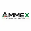 AMMEX Global Assurance