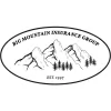 Big Mountain Insurance Group