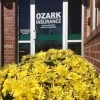 Ozark Insurance