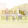 Triple L Insurance