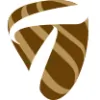 Tiger's Eye Insurance