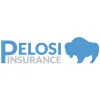 Pelosi Insurance