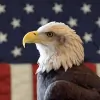 Freedom Insurance