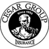 The Cesar Group
