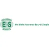 E & S Insurance