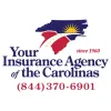 Your Insurance