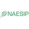 Naesip