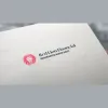 Red Lion Financial