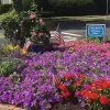 John J Doyle Insurance