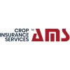 Ams Insurance