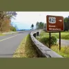 Miller Insurance