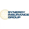 Synergy Insurance Group
